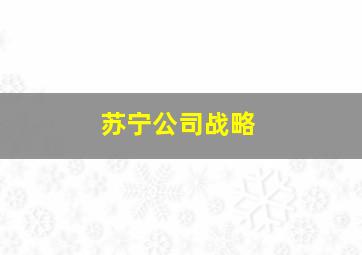 苏宁公司战略