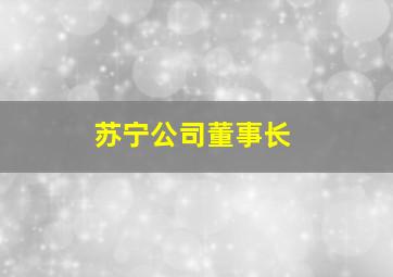 苏宁公司董事长