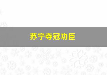 苏宁夺冠功臣