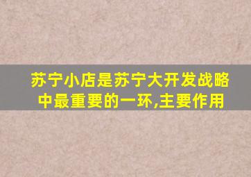 苏宁小店是苏宁大开发战略中最重要的一环,主要作用