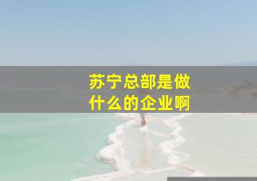 苏宁总部是做什么的企业啊