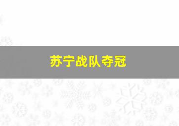 苏宁战队夺冠