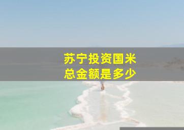 苏宁投资国米总金额是多少