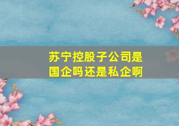 苏宁控股子公司是国企吗还是私企啊