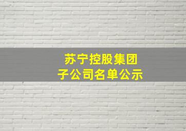 苏宁控股集团子公司名单公示