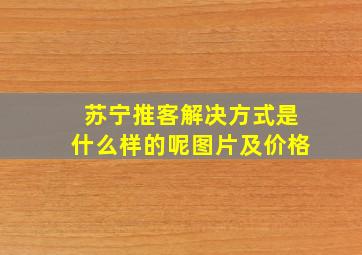 苏宁推客解决方式是什么样的呢图片及价格