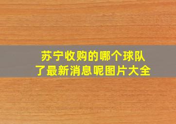 苏宁收购的哪个球队了最新消息呢图片大全