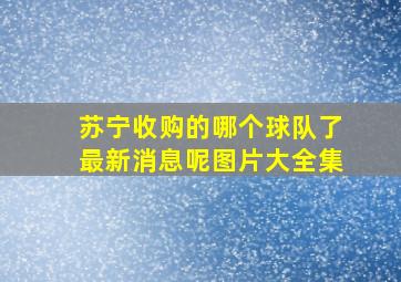 苏宁收购的哪个球队了最新消息呢图片大全集