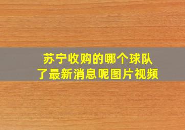 苏宁收购的哪个球队了最新消息呢图片视频