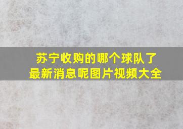 苏宁收购的哪个球队了最新消息呢图片视频大全