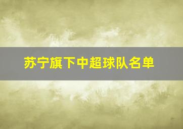 苏宁旗下中超球队名单