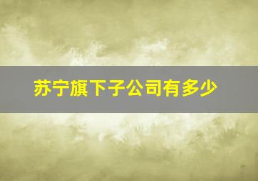 苏宁旗下子公司有多少