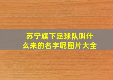 苏宁旗下足球队叫什么来的名字呢图片大全