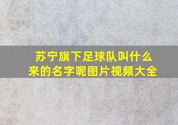 苏宁旗下足球队叫什么来的名字呢图片视频大全