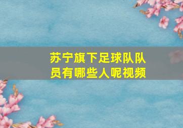 苏宁旗下足球队队员有哪些人呢视频