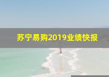 苏宁易购2019业绩快报