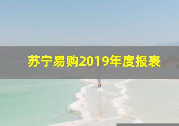 苏宁易购2019年度报表