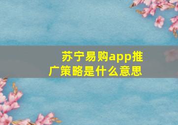 苏宁易购app推广策略是什么意思