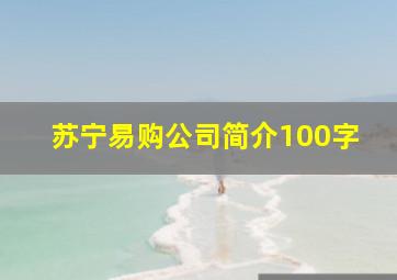 苏宁易购公司简介100字