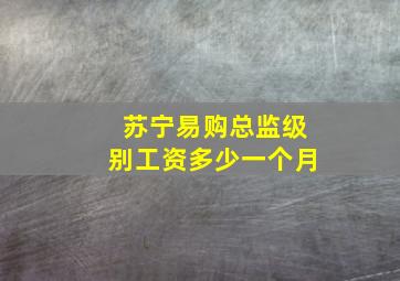 苏宁易购总监级别工资多少一个月