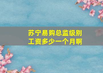 苏宁易购总监级别工资多少一个月啊