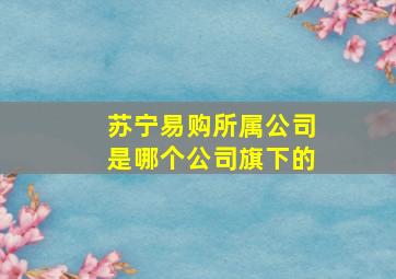 苏宁易购所属公司是哪个公司旗下的