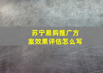 苏宁易购推广方案效果评估怎么写