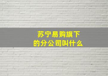 苏宁易购旗下的分公司叫什么