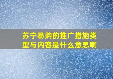 苏宁易购的推广措施类型与内容是什么意思啊