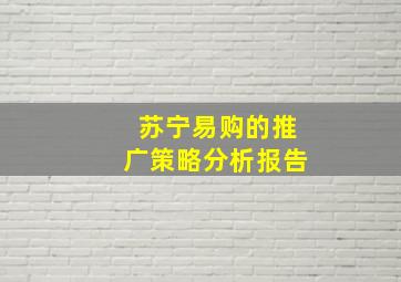 苏宁易购的推广策略分析报告