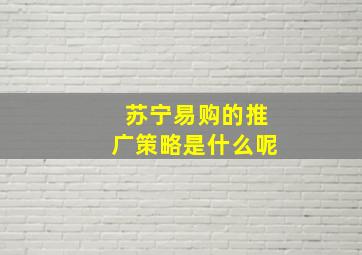 苏宁易购的推广策略是什么呢