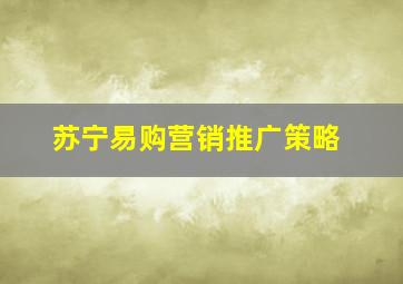 苏宁易购营销推广策略