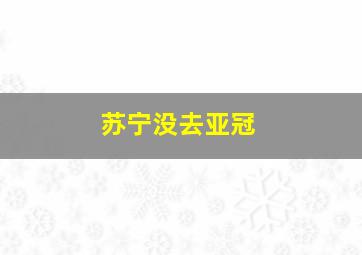 苏宁没去亚冠