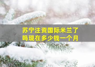 苏宁注资国际米兰了吗现在多少钱一个月