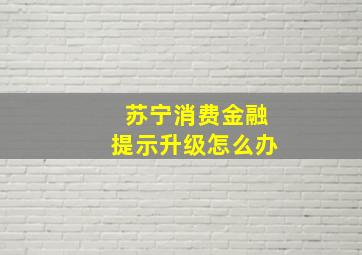 苏宁消费金融提示升级怎么办