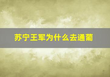 苏宁王军为什么去通葡