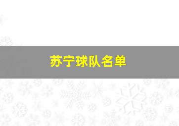 苏宁球队名单