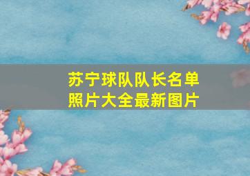 苏宁球队队长名单照片大全最新图片