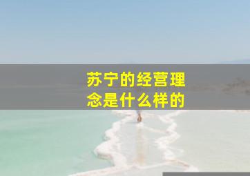 苏宁的经营理念是什么样的