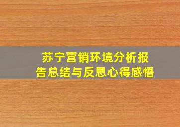 苏宁营销环境分析报告总结与反思心得感悟