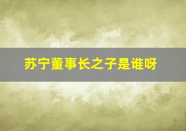 苏宁董事长之子是谁呀