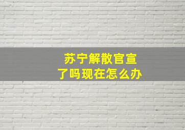 苏宁解散官宣了吗现在怎么办