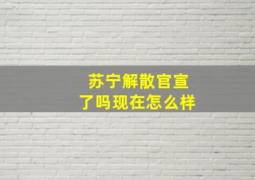 苏宁解散官宣了吗现在怎么样