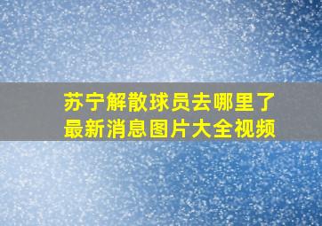 苏宁解散球员去哪里了最新消息图片大全视频