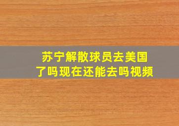 苏宁解散球员去美国了吗现在还能去吗视频