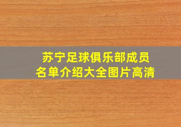 苏宁足球俱乐部成员名单介绍大全图片高清