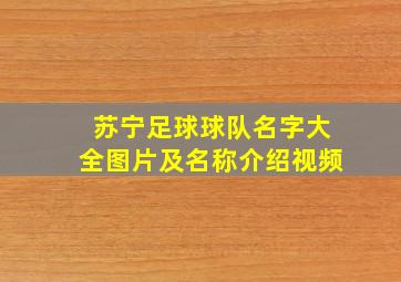 苏宁足球球队名字大全图片及名称介绍视频