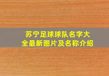 苏宁足球球队名字大全最新图片及名称介绍