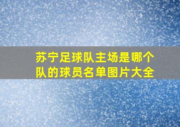 苏宁足球队主场是哪个队的球员名单图片大全