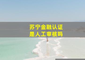 苏宁金融认证是人工审核吗